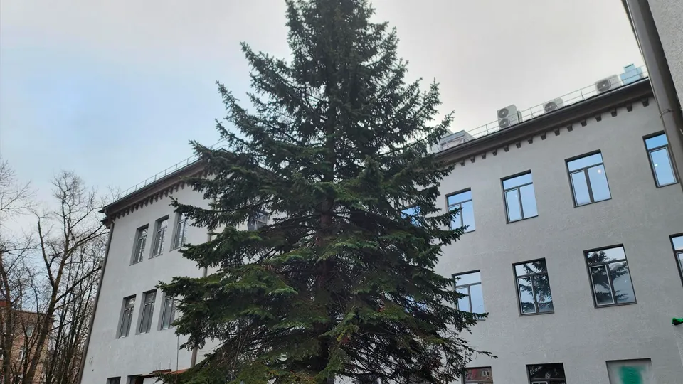 Фото: МедиаБанк Подмосковья/Роман Савельев