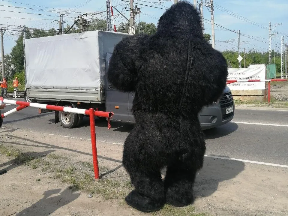 Фото: пресс-служба администрации Раменского округа