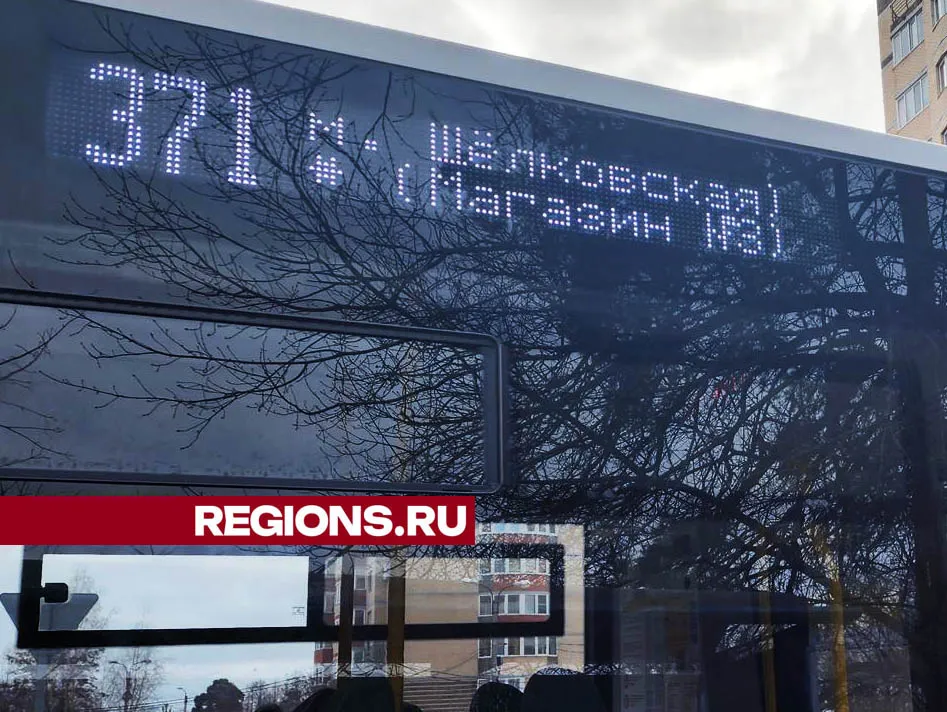 Фото: Валерия Тингаева