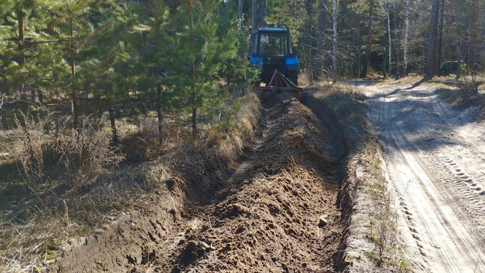 Фото: Ступинский филиал ГКУ МО «Мособллес»