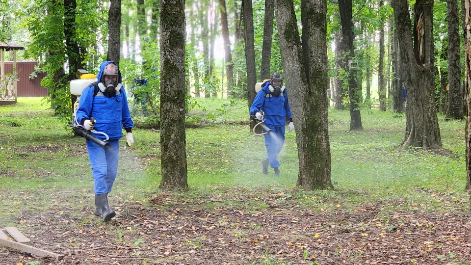 Фото: МедиаБанк Подмосковья/Дмитрий Беденко