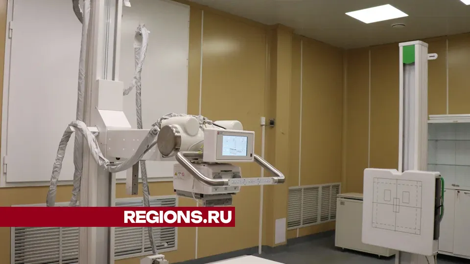 Фото: REGIONS/Василий Тремасов