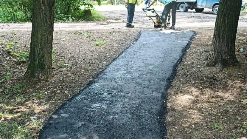 Фото: МТДИ МО