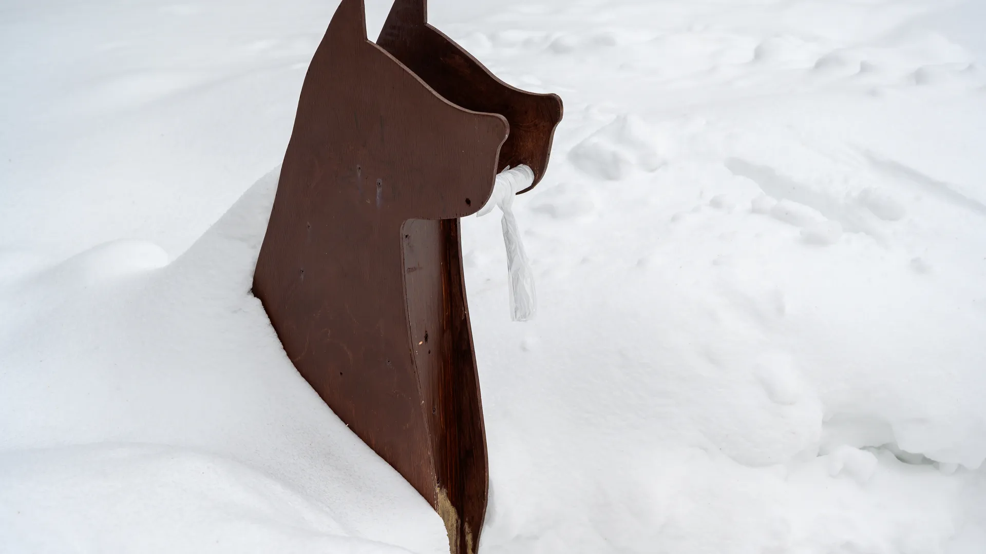 Грозный вид и доброе сердце: как снежная скульптура кинолога в Балашихе отпугивает недобрых людей