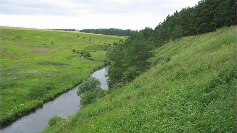 Уникальный памятник природы появится на юге Подмосковья
