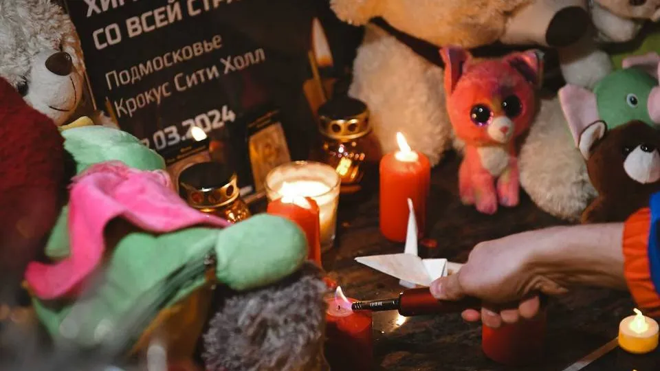 Фото: пресс-служба администрации городского округа Химки