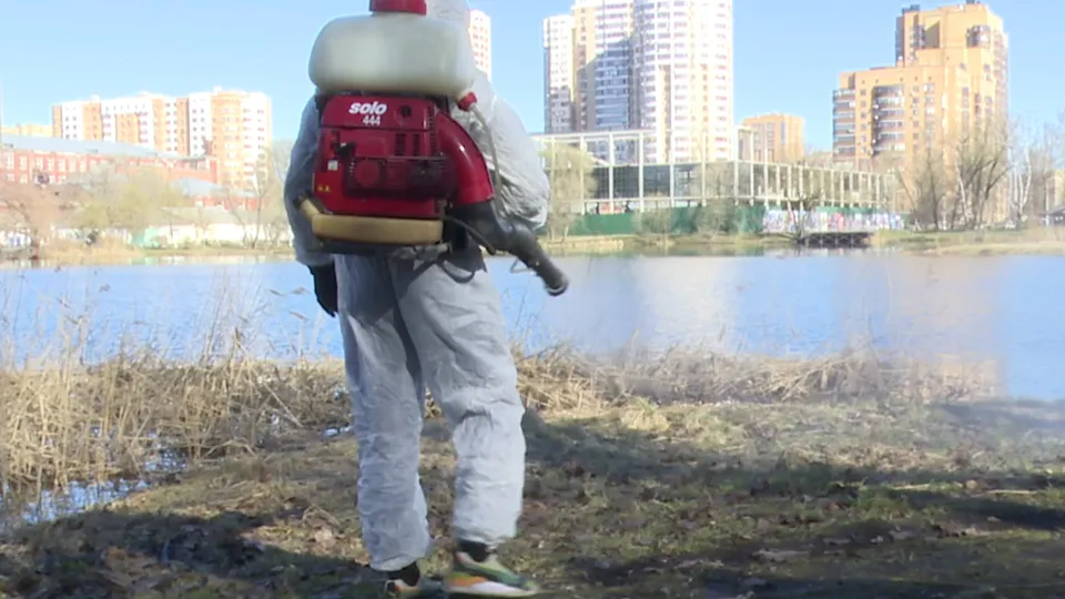 Фото: Ксения Казакова