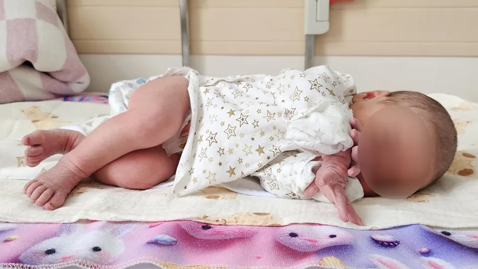 Фото: МедиаБанк Подмосковья/Вероника Горбачева