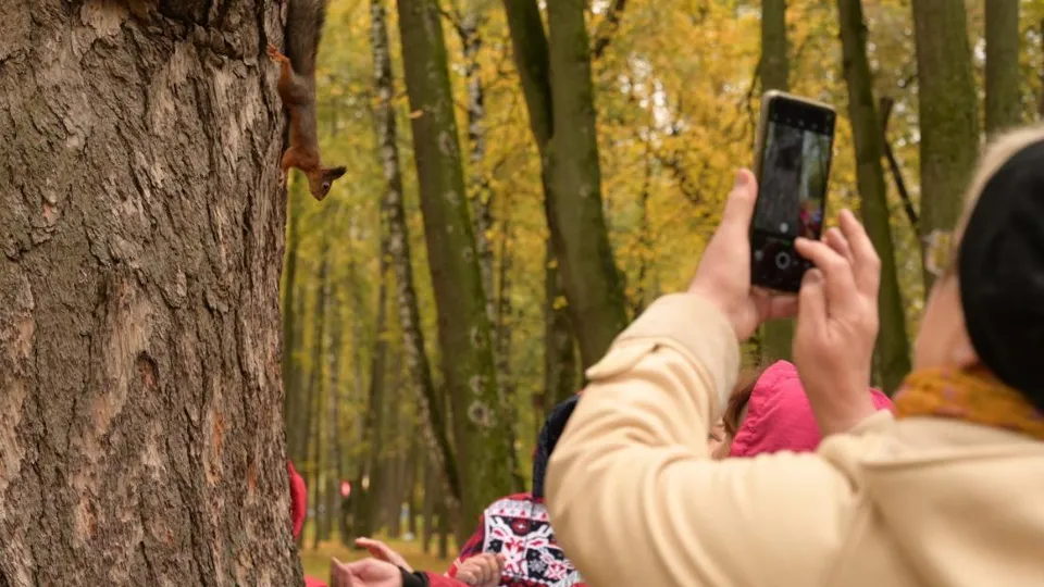 Фото: усадьба Кривякино