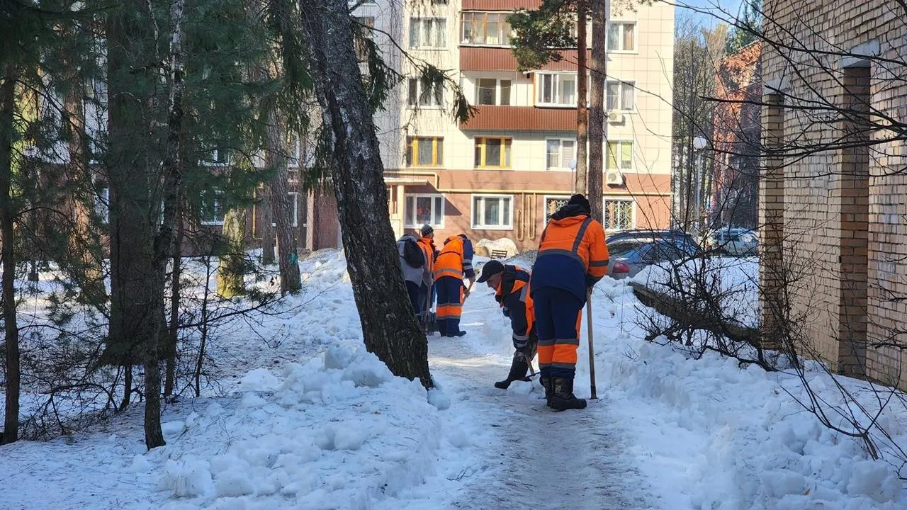 REGIONS/Анна Мороз