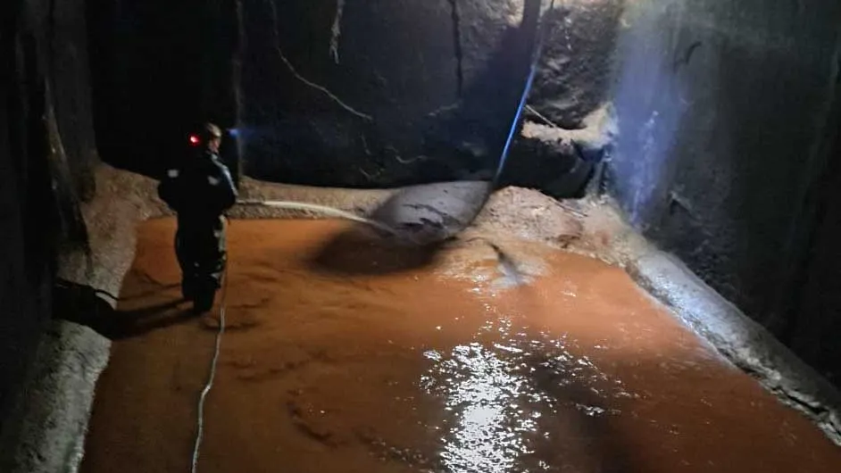 Фото: Александр Черняев