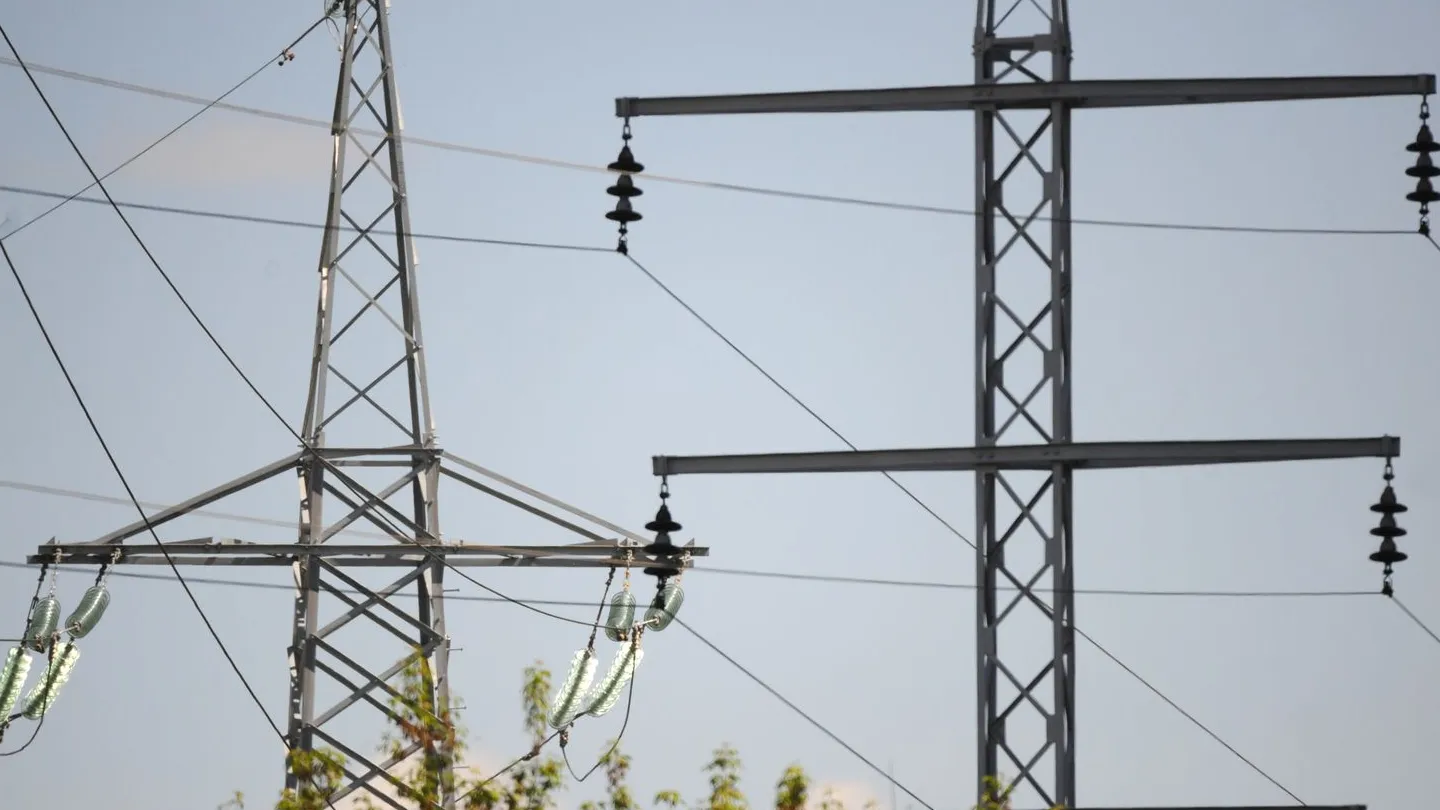 Фото: медиасток.рф