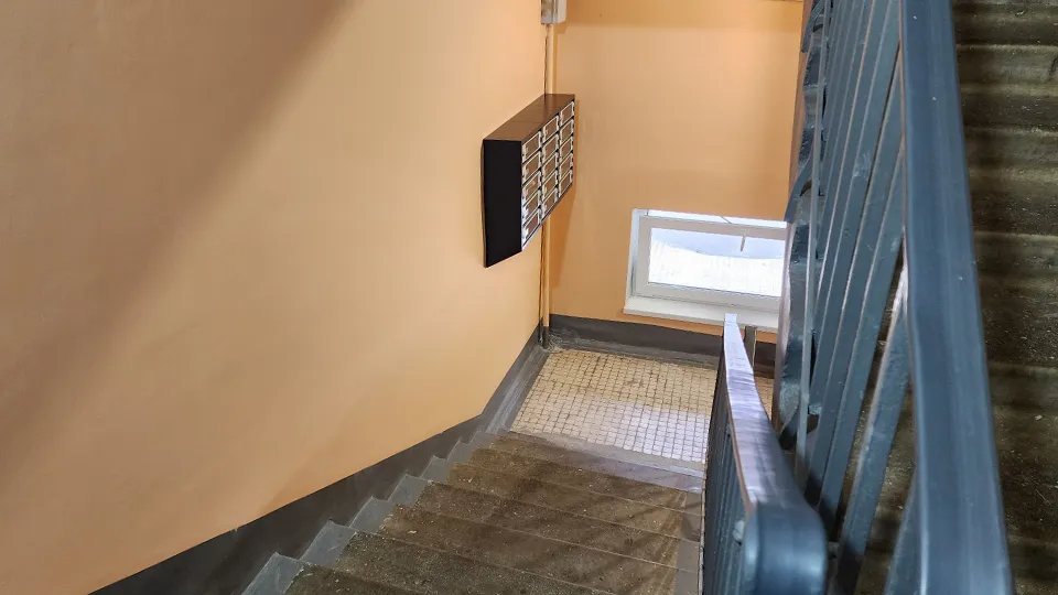 Фото: МедиаБанк Подмосковья/Ирина Моисеева