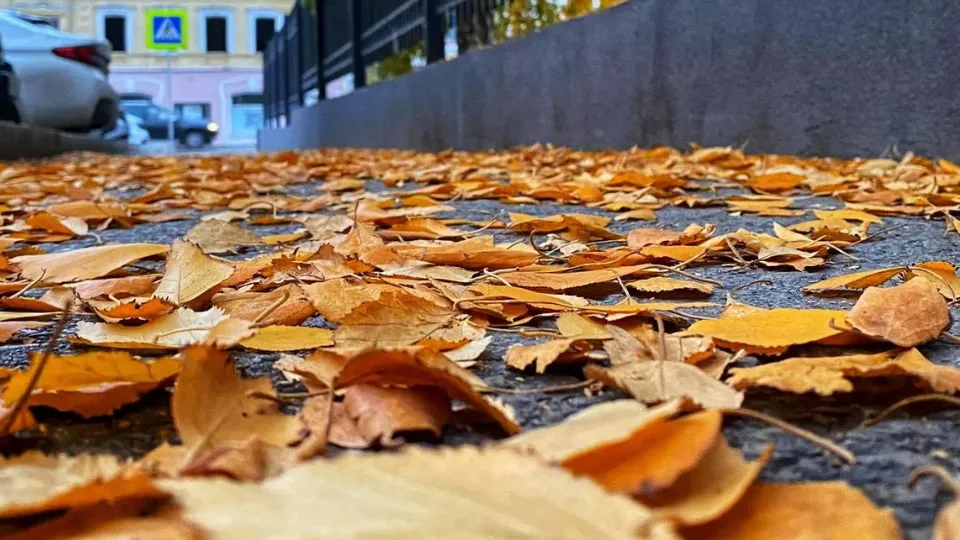 Фото: REGIONS/Антонина Гареева