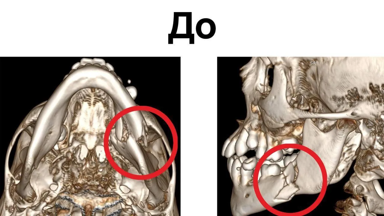 Фото: Минздрав МО