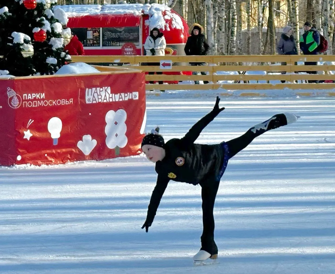 Фото: телеграм-канал&nbsp;«Парки Электростали»