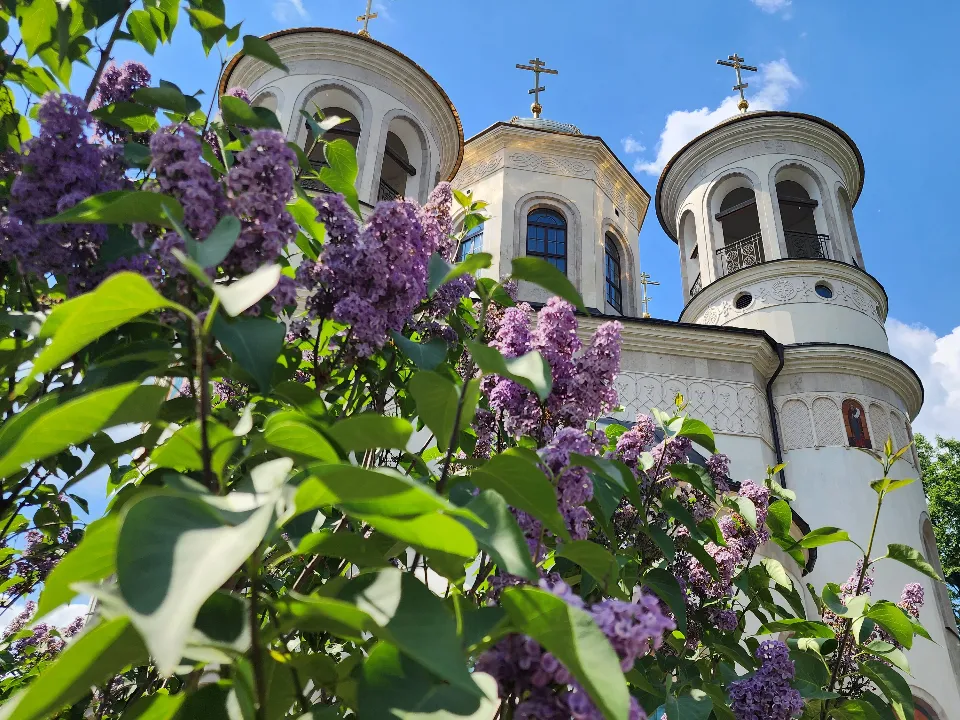 Фото: МедиаБанк Подмосковья/Хавива Фонина