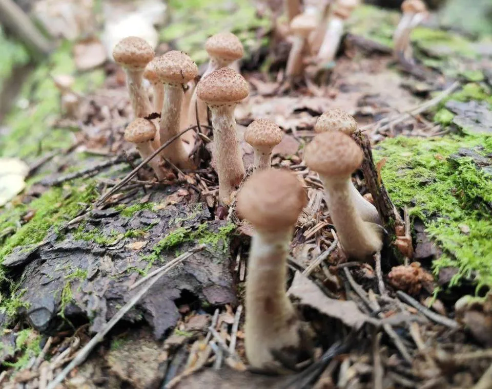 Фото: Мария Панина