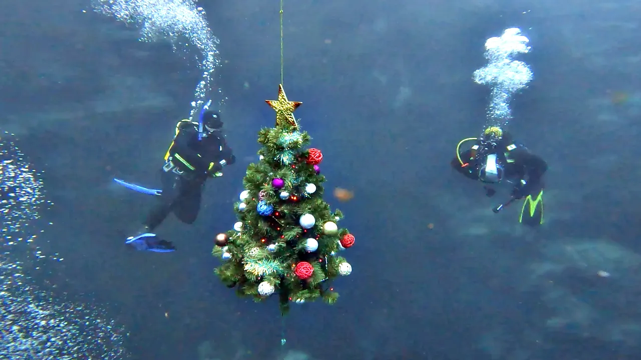 фото: скриншот