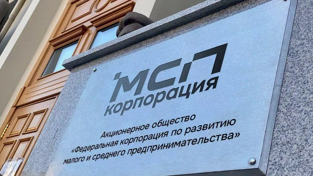 Подмосковным предпринимателям рассказали о программе «зонтичных» поручительств