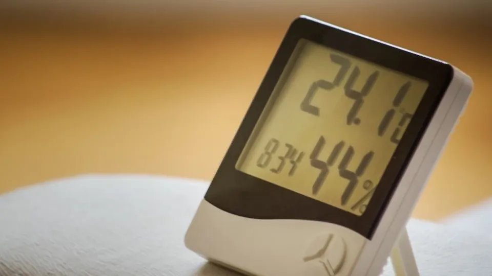 Фото: unsplash.com