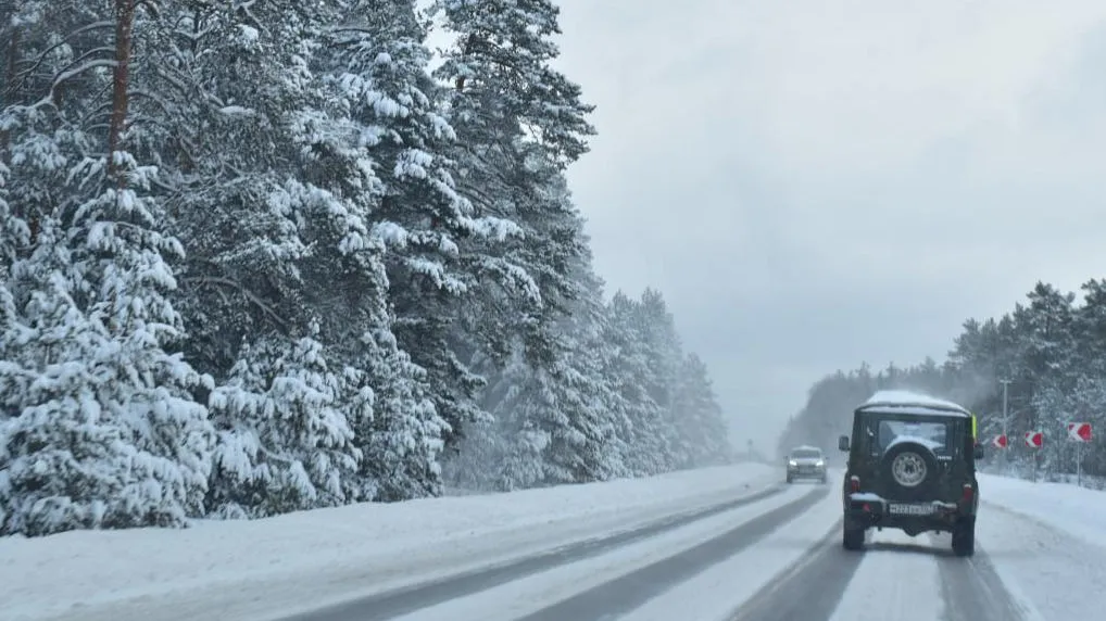 Фото: Оксана Лапшина