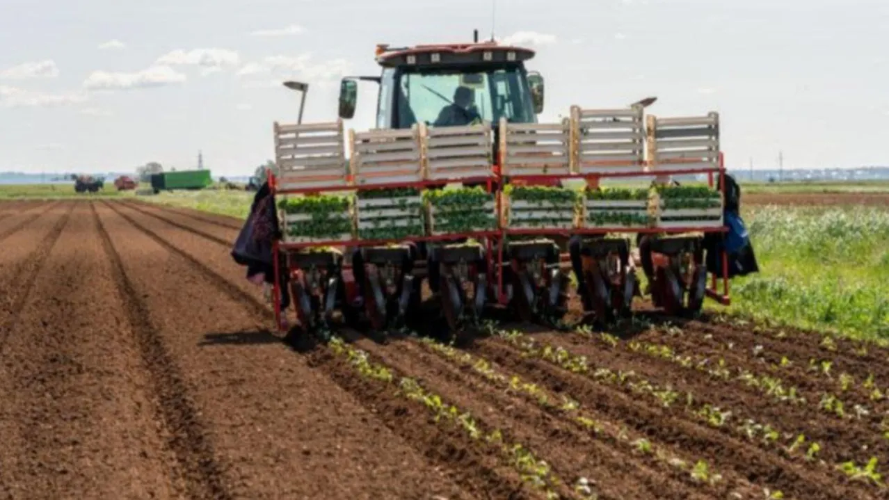 медиасток.рф