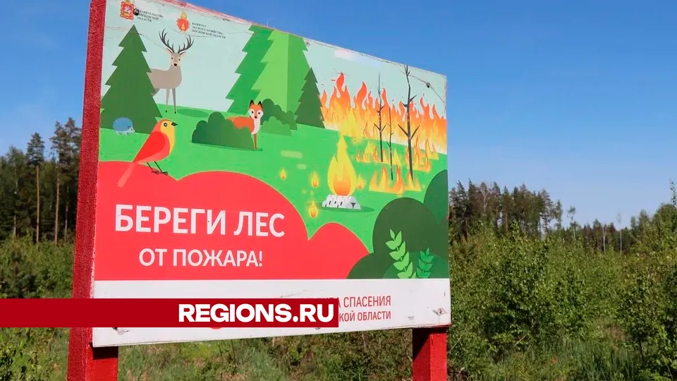 Фото: Regions/Василий Тремасов