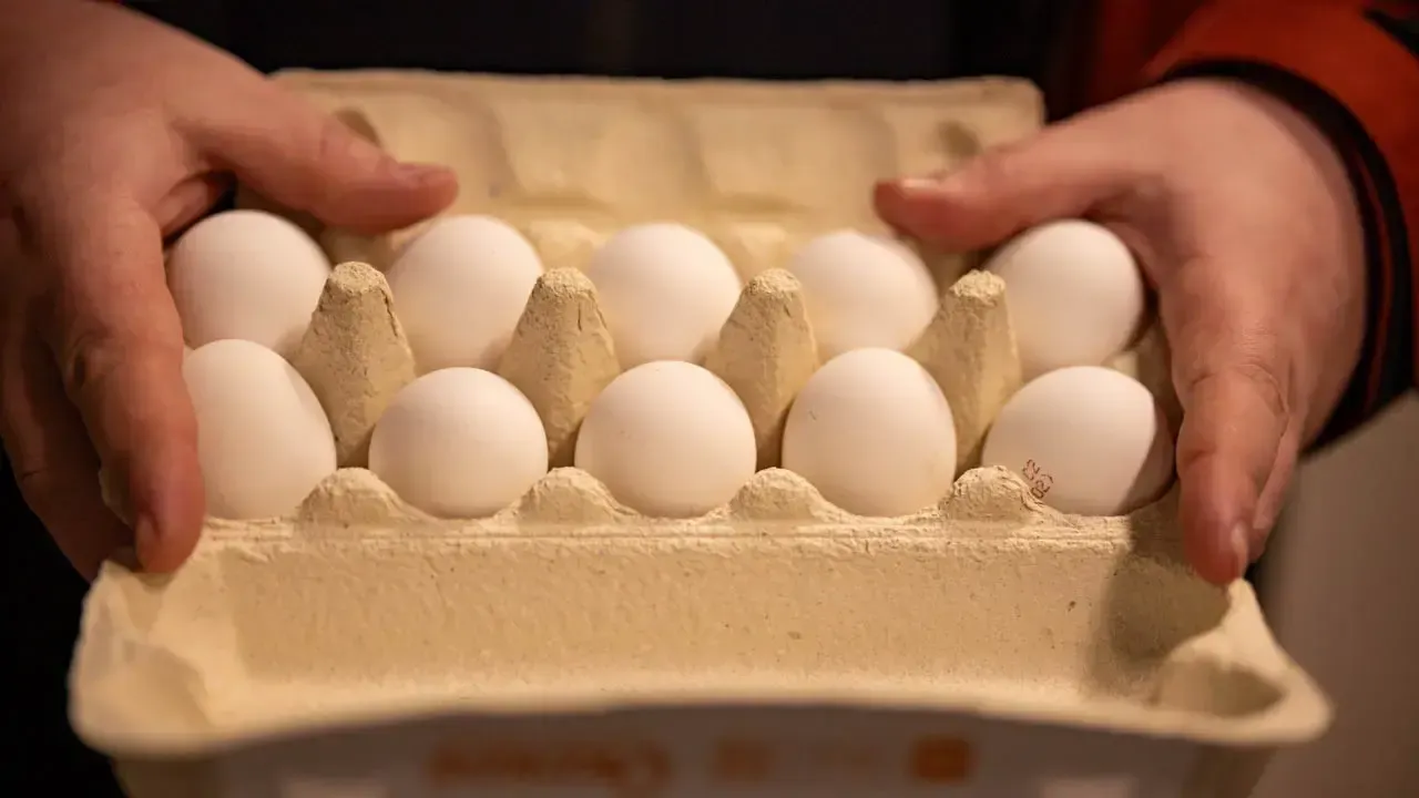 REGIONS/Роман Малышенко