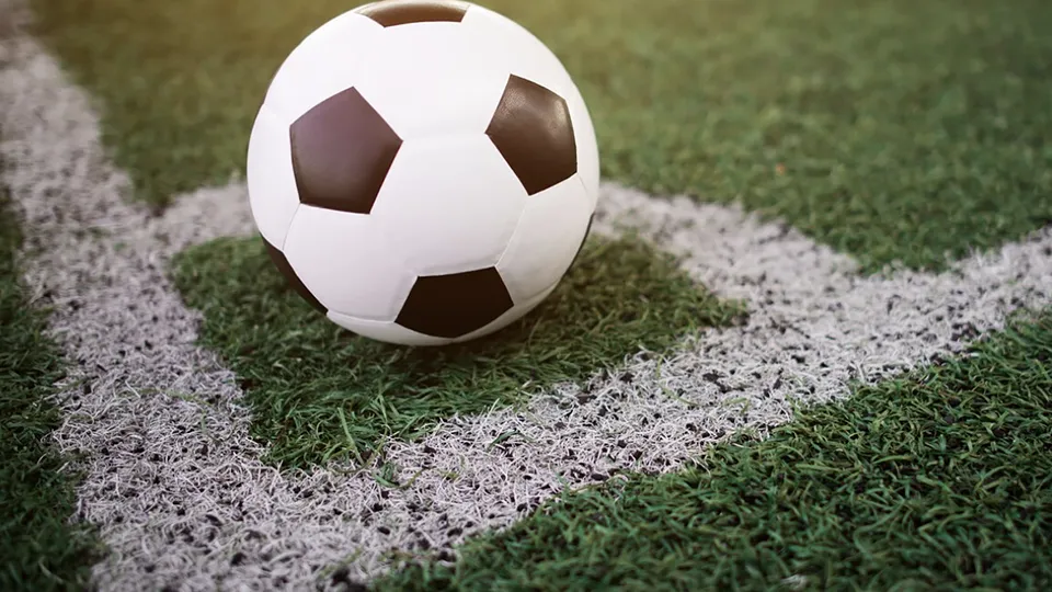 Фото: freepik.com