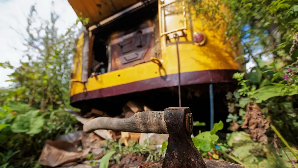 Фото: медиасток.рф