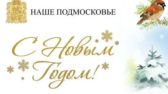 Власти Подмосковья поздравляют жителей с Новым годом