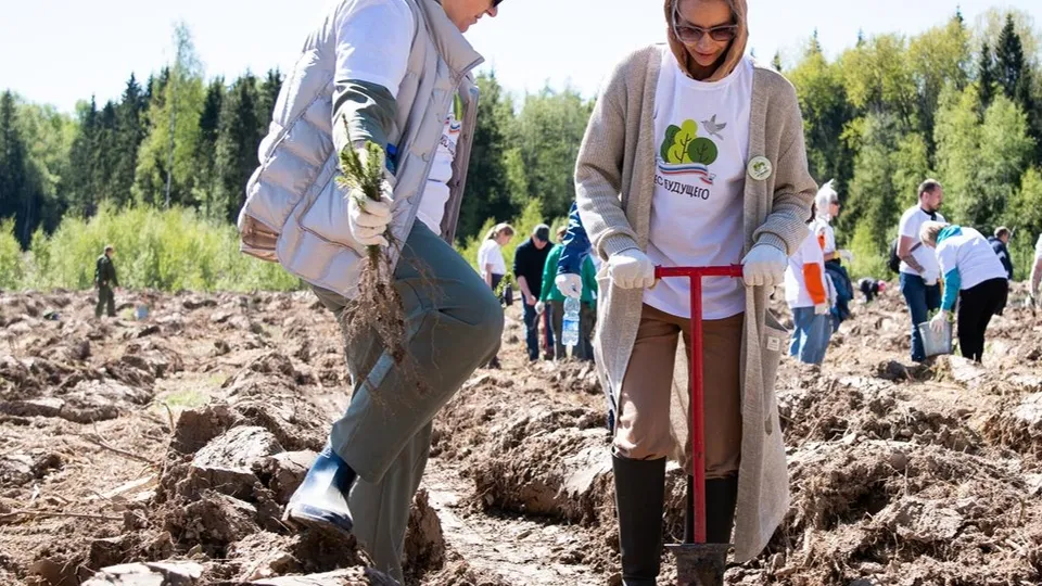 Фото: Комитет лесного хозяйства МО