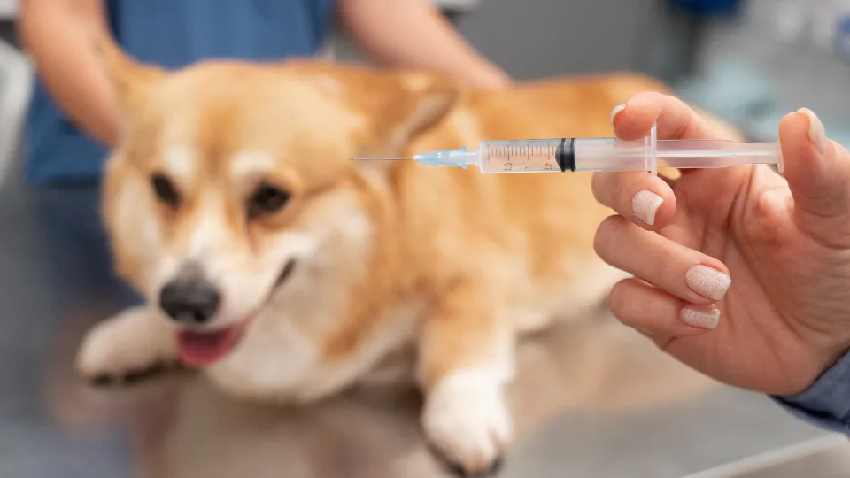 Фото: freepik.com