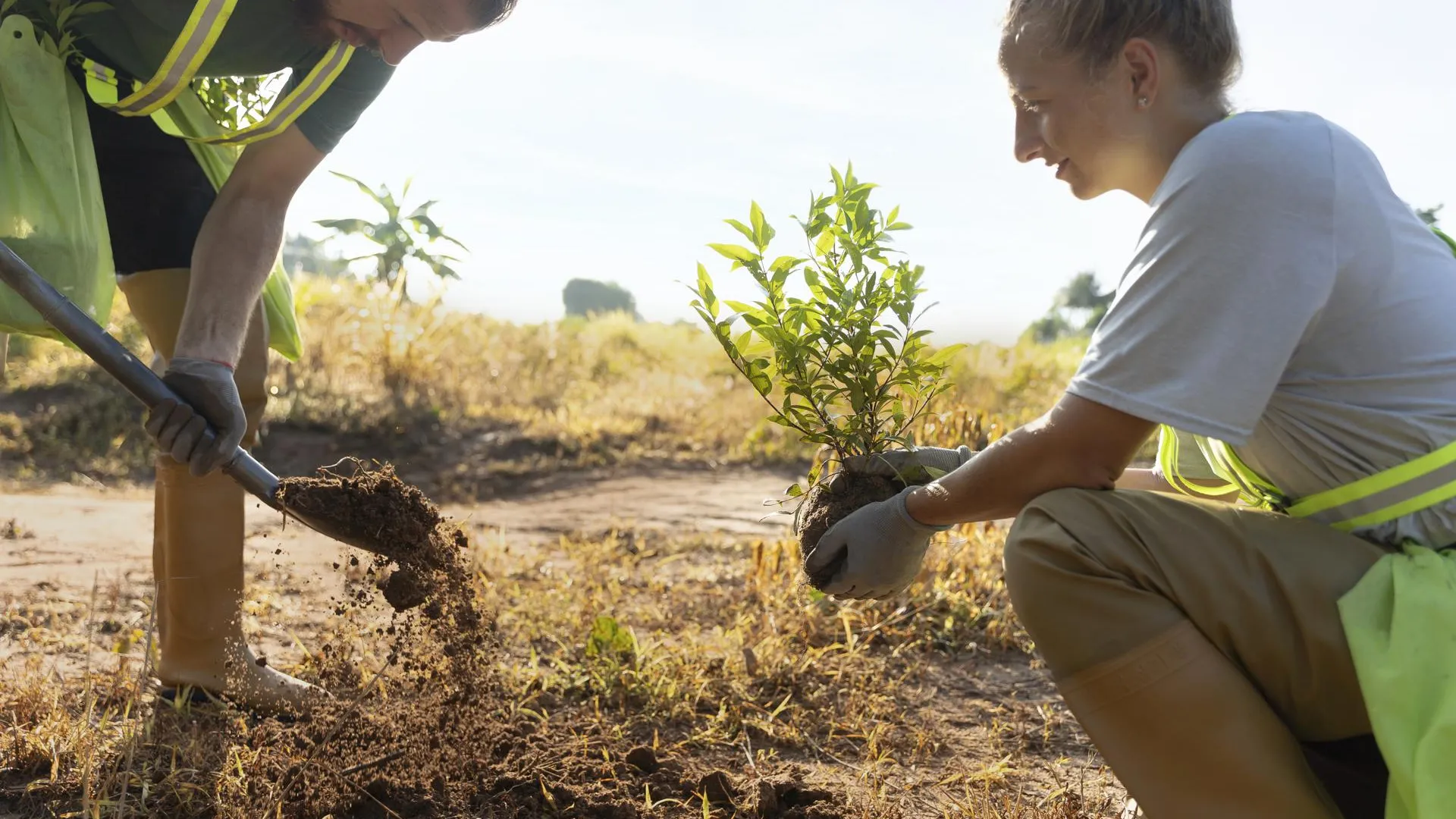 Фото: freepik.com