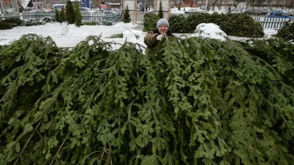 В Лобне к Новому году заработает 9 елочных базаров