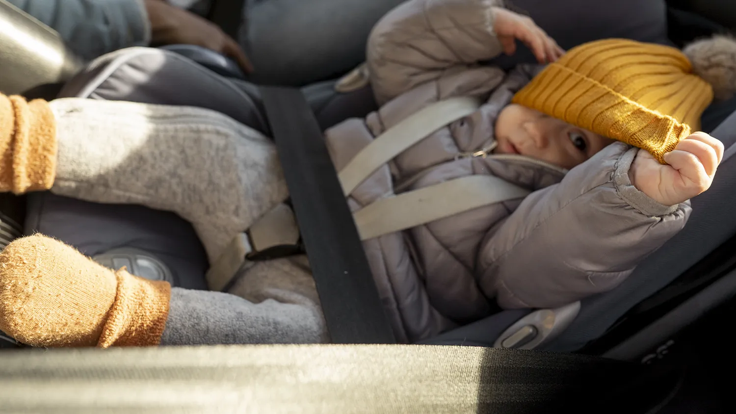 Фото: freepik.com