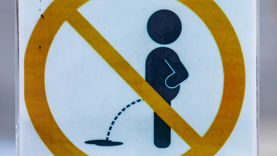 Фото: istockphoto.com/Fotokot197