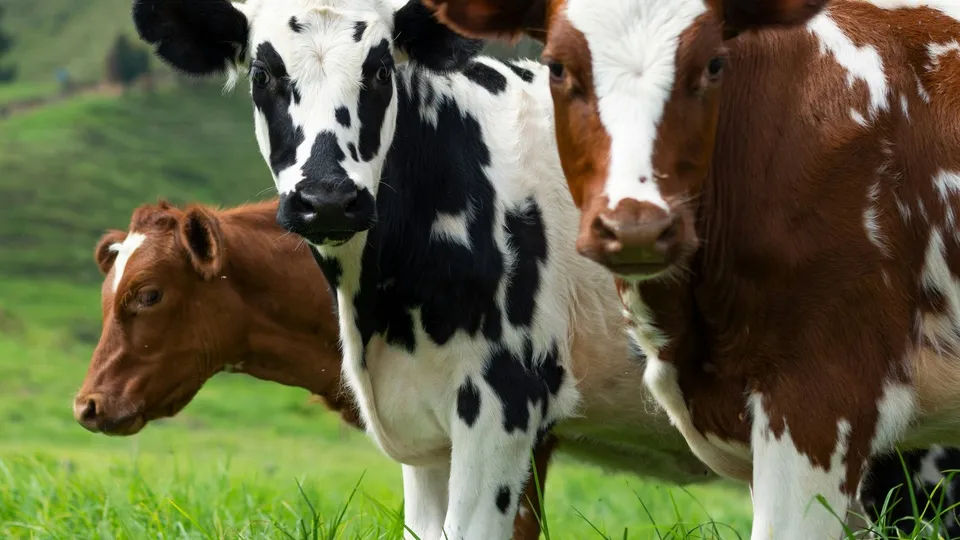 Фото: unsplash.com