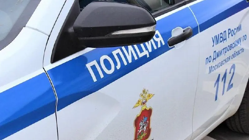 Фото: пресс-служба УМВД России по Дмитровскому городскому округу