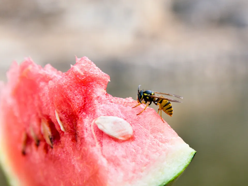 Фото: istockphoto.com