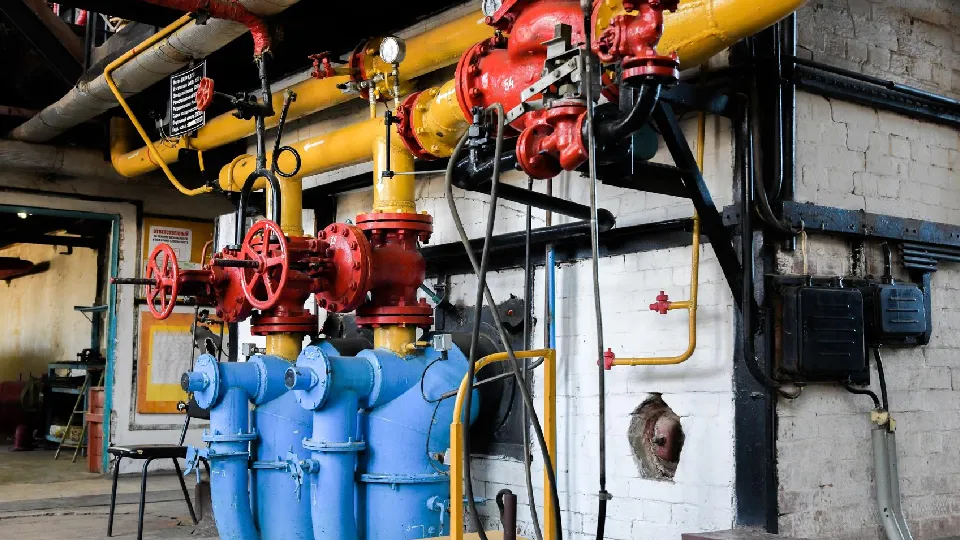 Фото: пресс-служба администрации г.о. Дмитров