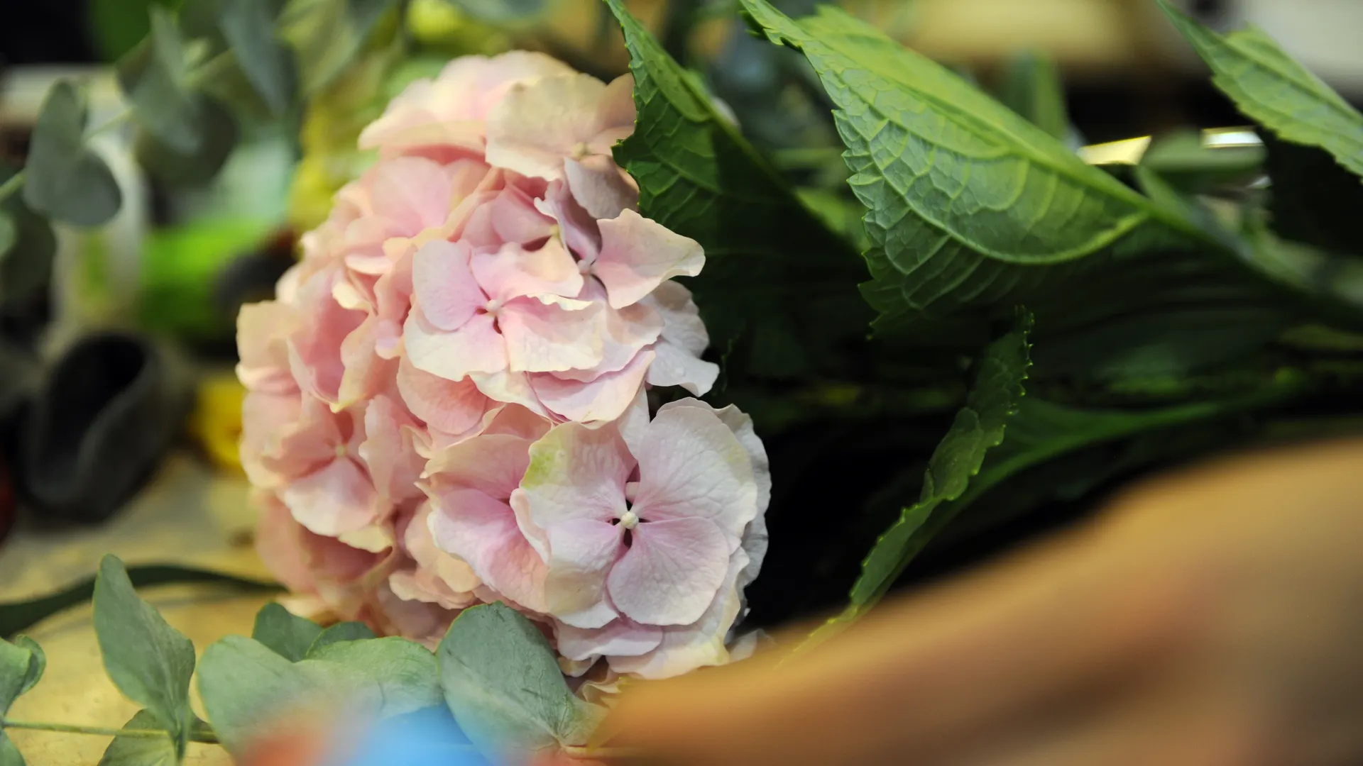 медиасток.рф