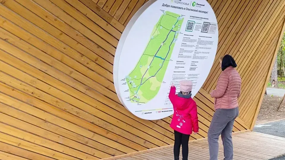 Фото: Министерство благоустройства Московской области