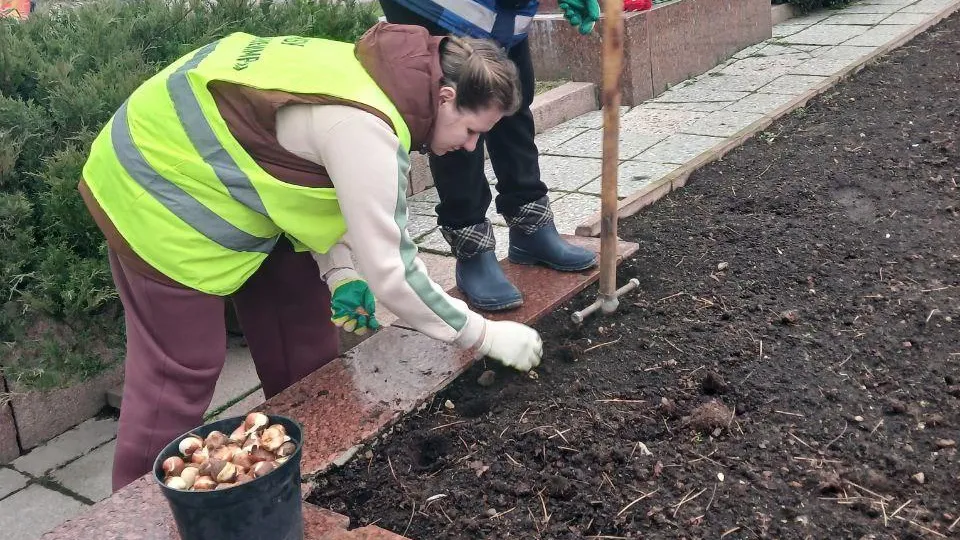 Фото: пресс-служба администрации м.о. Истра