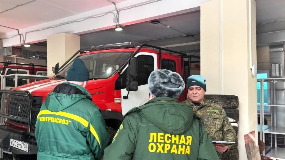 Фото: Комитет лесного хозяйства Московской области