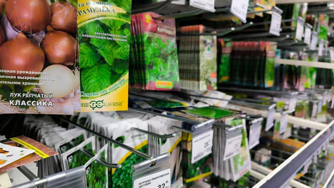 REGIONS/Роман Малышенко