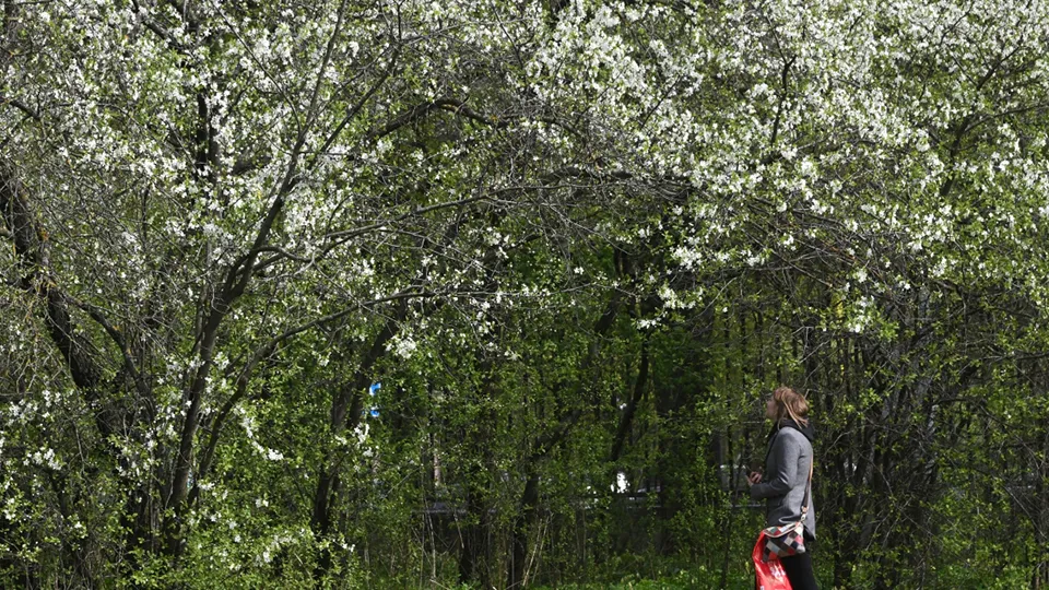 Фото: РИА Новости/Кирилл Каллиников