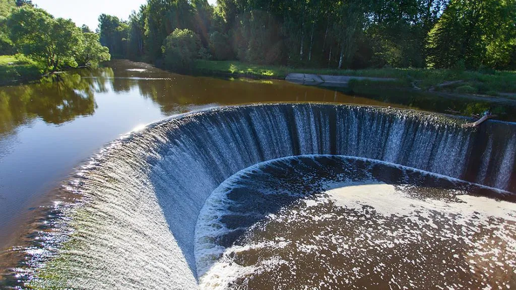 Фото: А.Серова