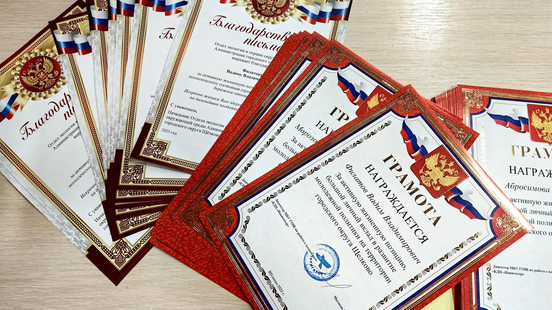 Елена Катасонова